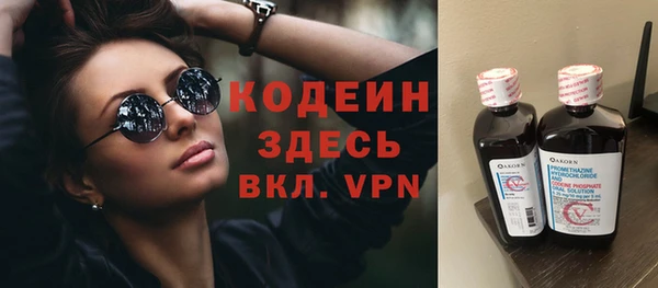 индика Переславль-Залесский